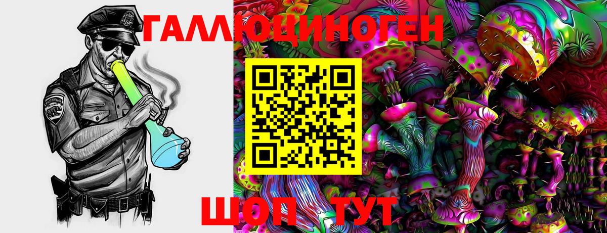 Кострома  Галлюциногенные грибы Psilocybine cubensis  Вход с VPN 